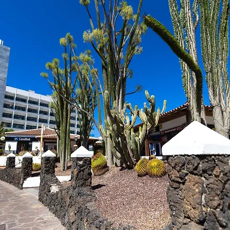 アパート Beautiful View Appartement Los Gigantes *