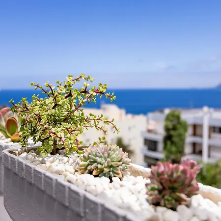 Beautiful View Appartement Los Gigantes アカンティラド・デ・ロス・ヒガンテス