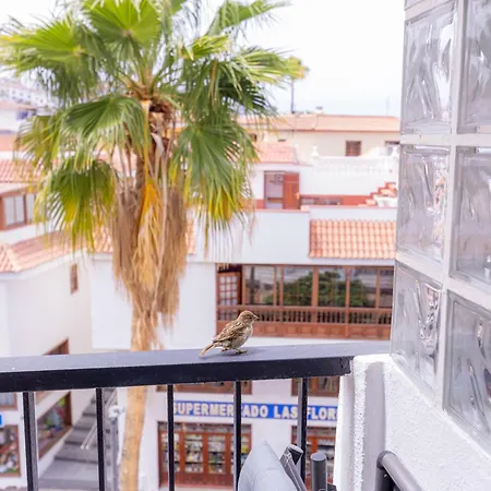 アパート Beautiful View Appartement Los Gigantes *